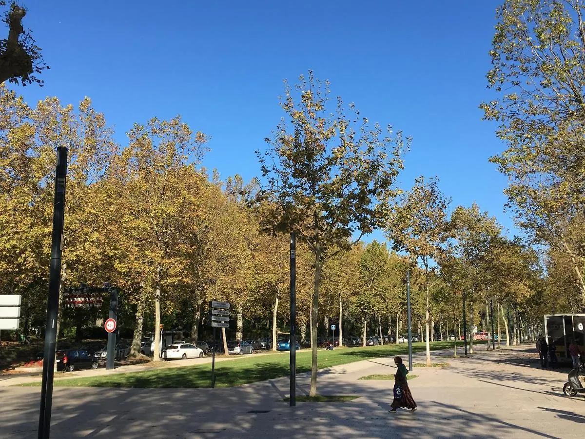 Апартаменты Carmes - Jardin - Studio Pied A Terre En Hyper Centre Тулуза Франция